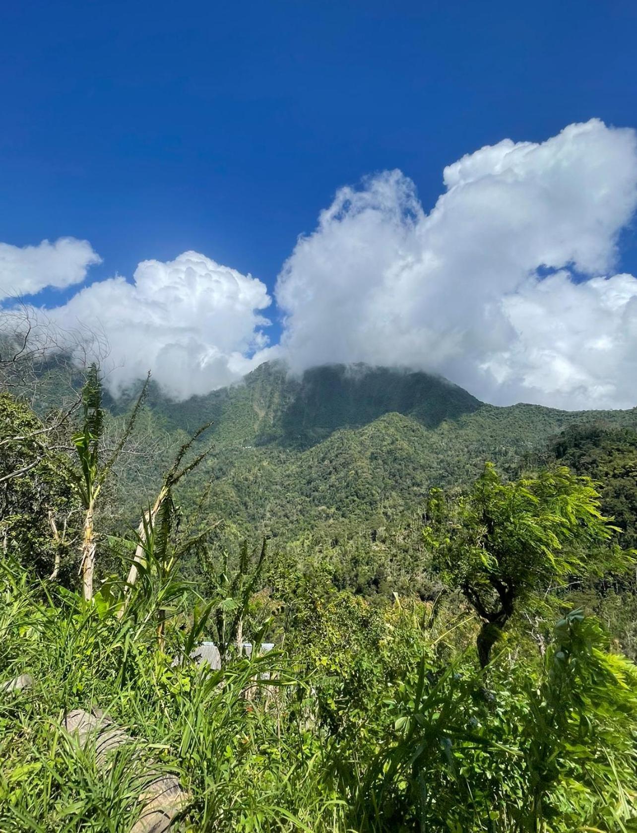 Tropical Habitat Bali Villa Amed Eksteriør bilde