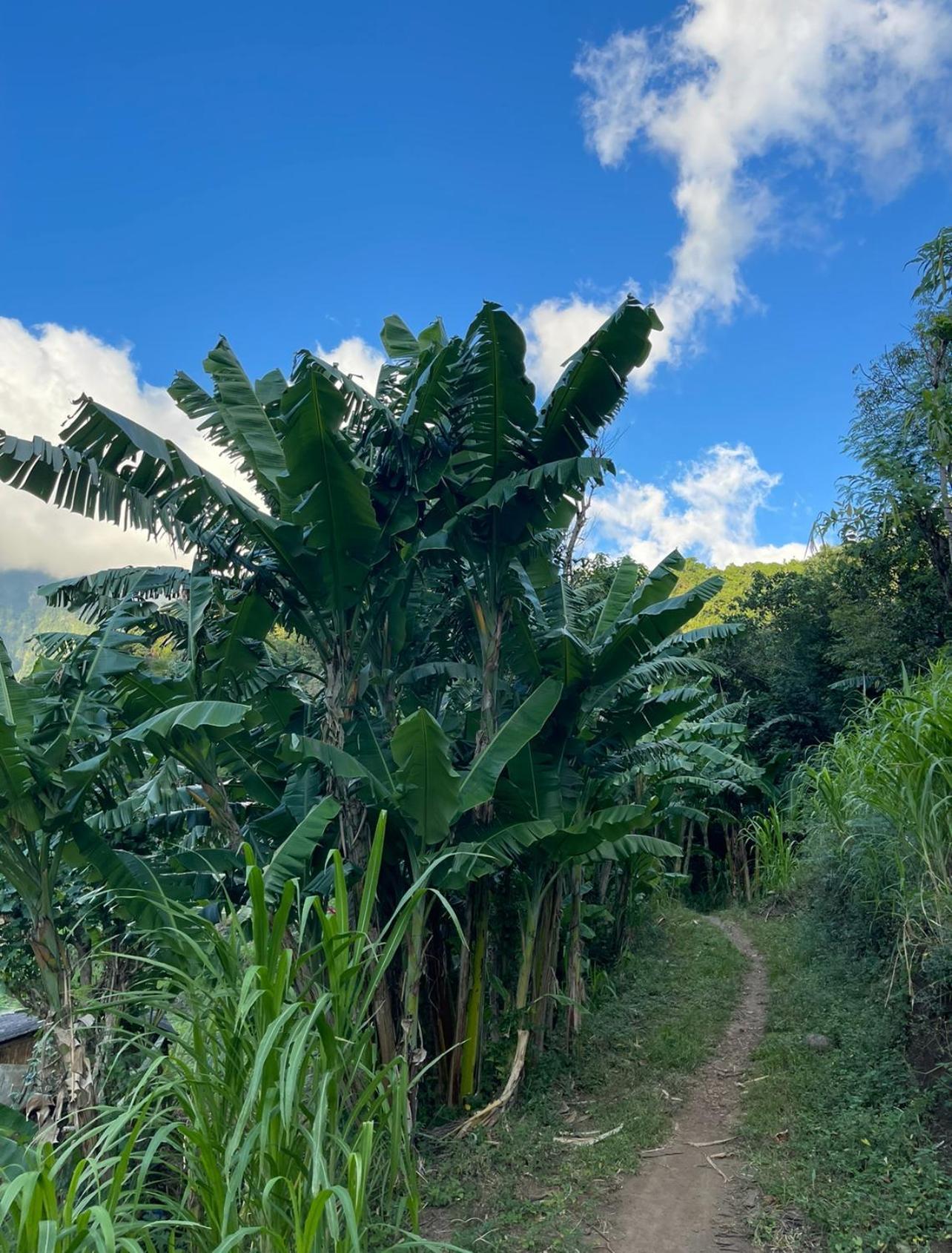 Tropical Habitat Bali Villa Amed Eksteriør bilde