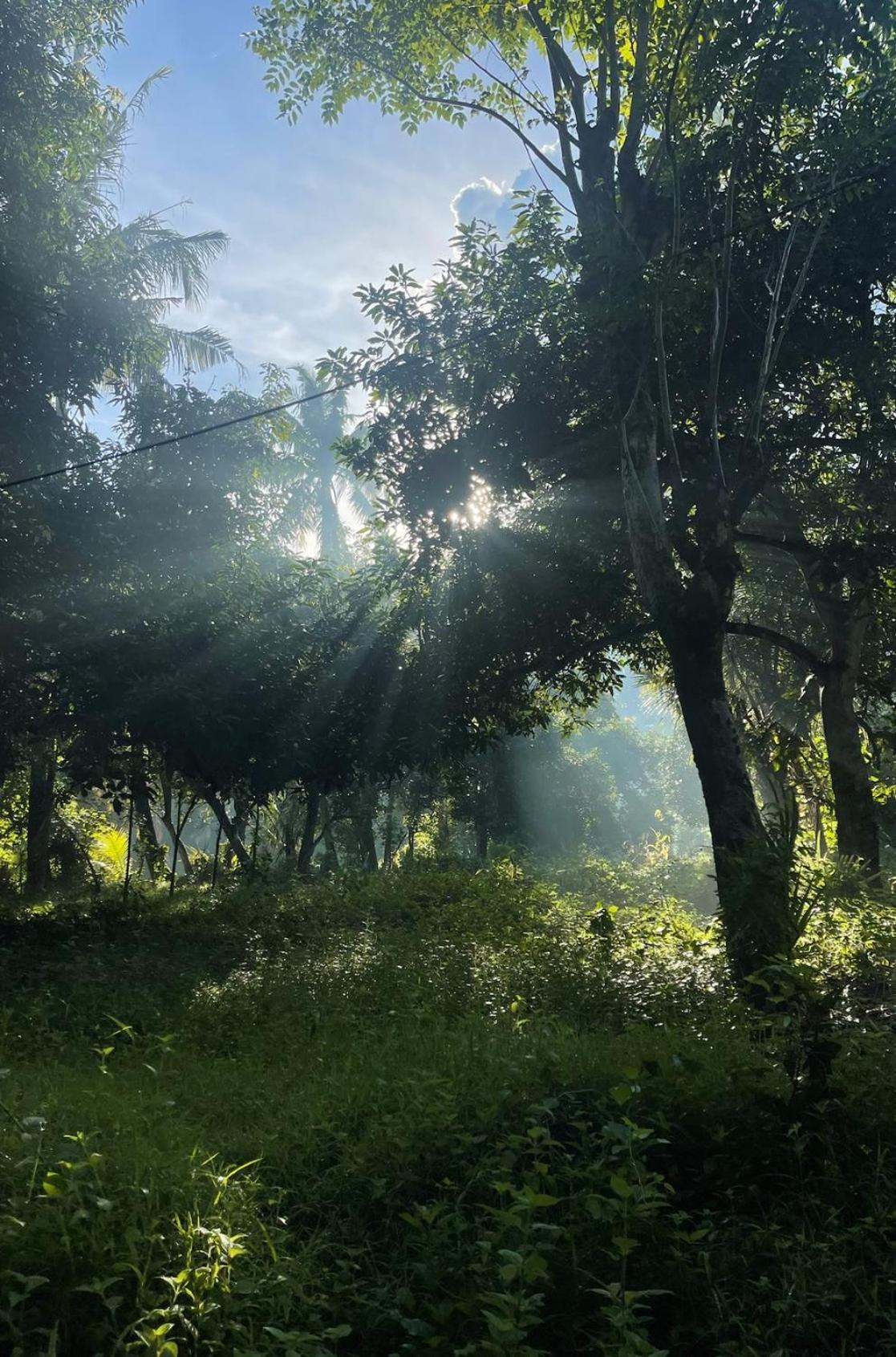 Tropical Habitat Bali Villa Amed Eksteriør bilde