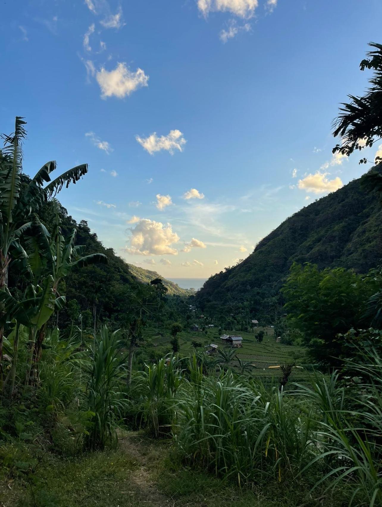 Tropical Habitat Bali Villa Amed Eksteriør bilde