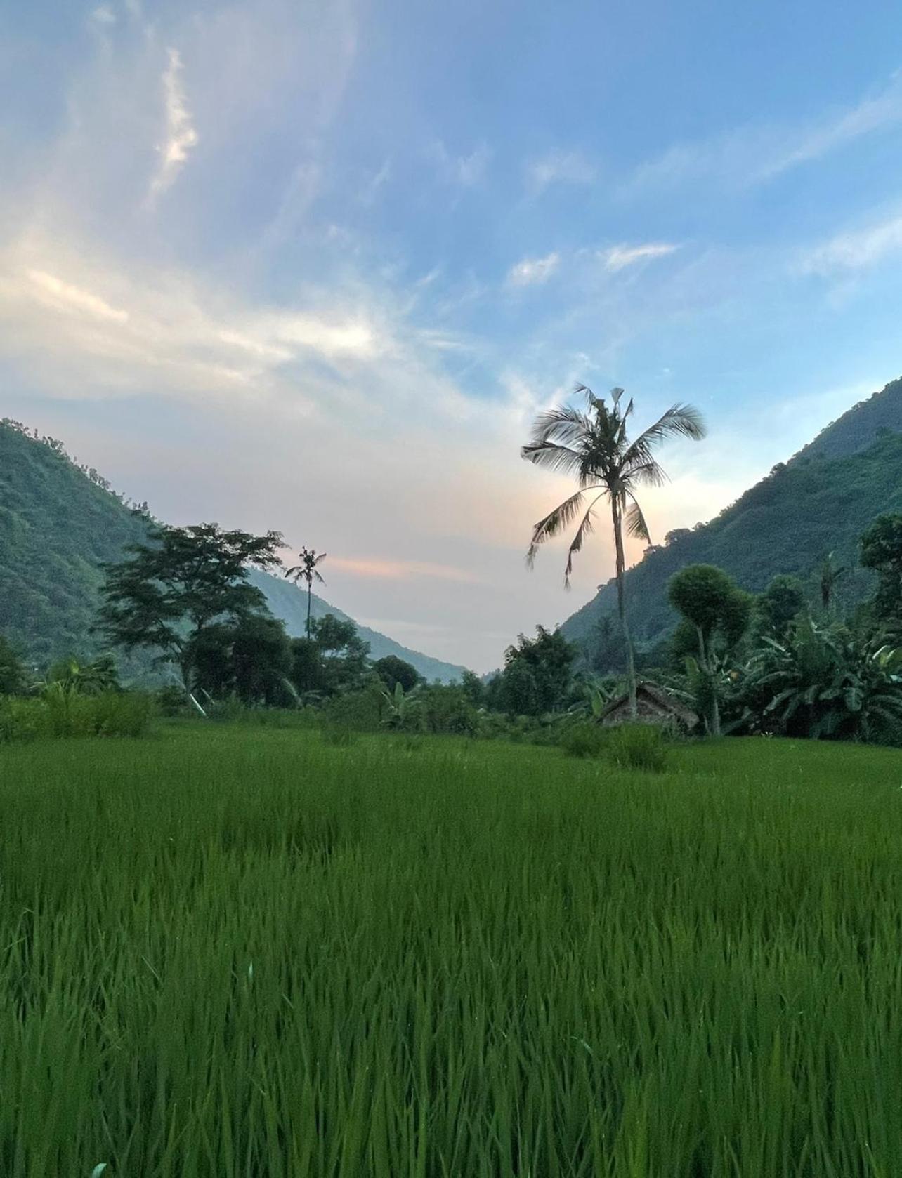Tropical Habitat Bali Villa Amed Eksteriør bilde